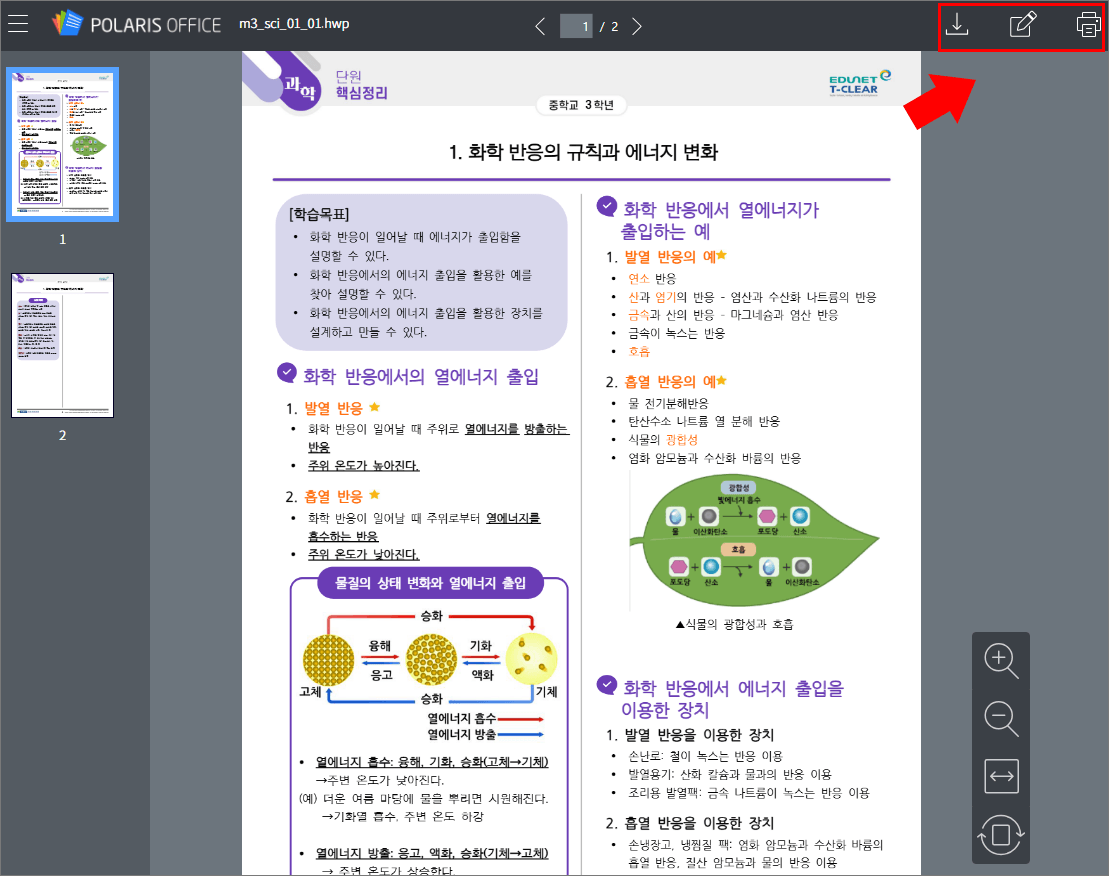 middle-choice-2